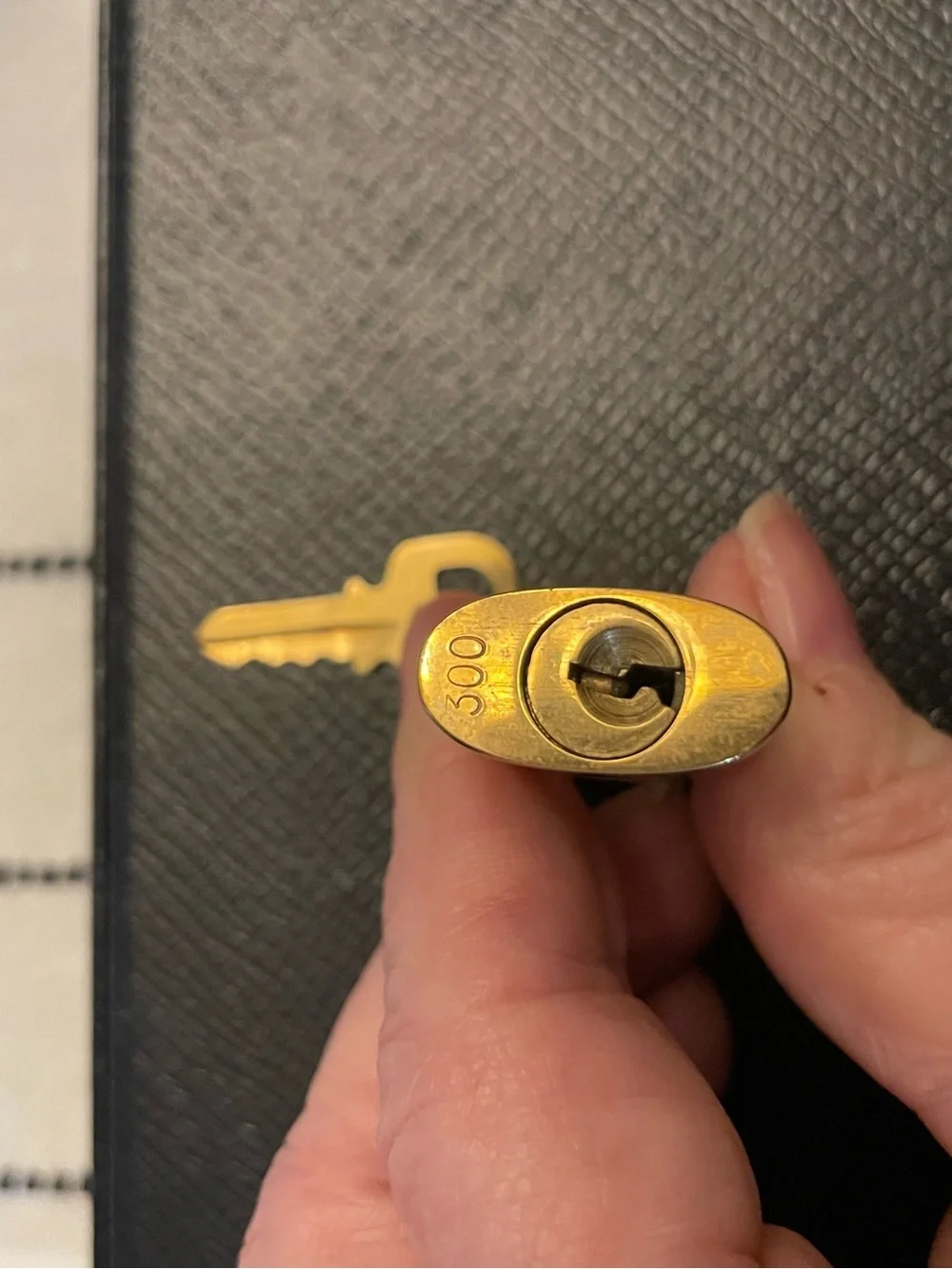 Louis Vuitton Brass-Tone Padlock and Key. #300